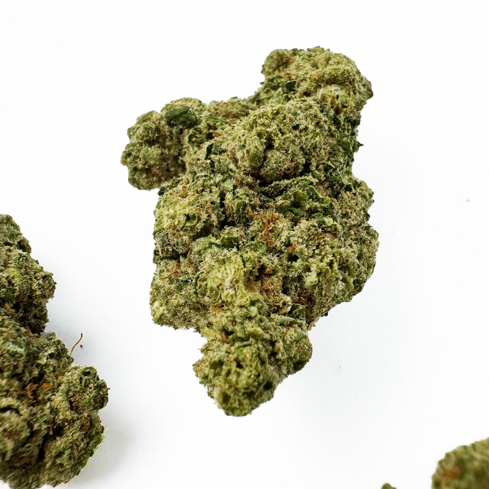 Captain Crunch - Indoor Elite USA — photo 2