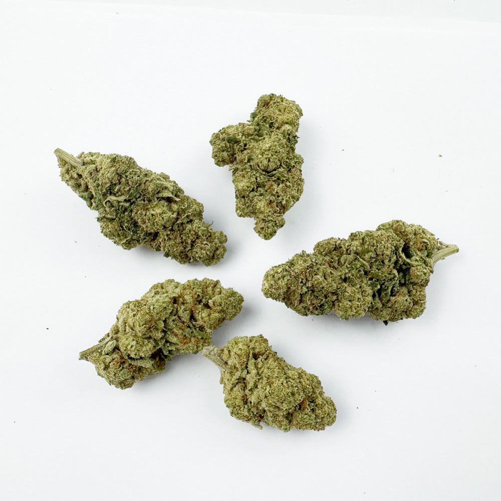 Captain Crunch - Indoor Elite USA — photo 3