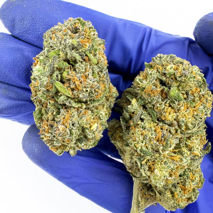 Cherry Pie CBD - Indoor