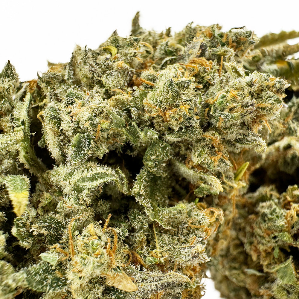 Cookies Cream CBD - Indoor