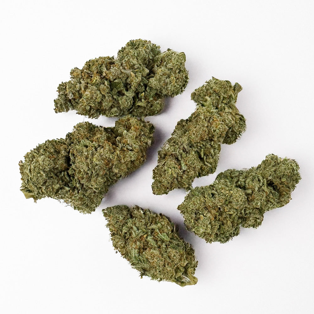 Cookies Cream CBD – pěstované v interiéru