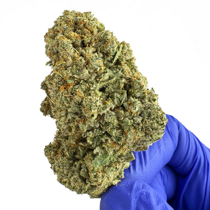 Cookies Cream CBD - Indoor