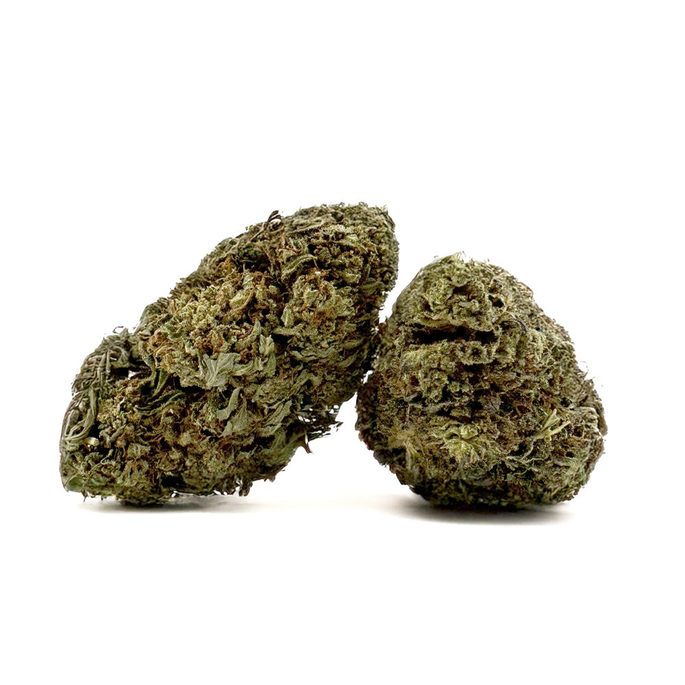 Critical – Hybrid USA
