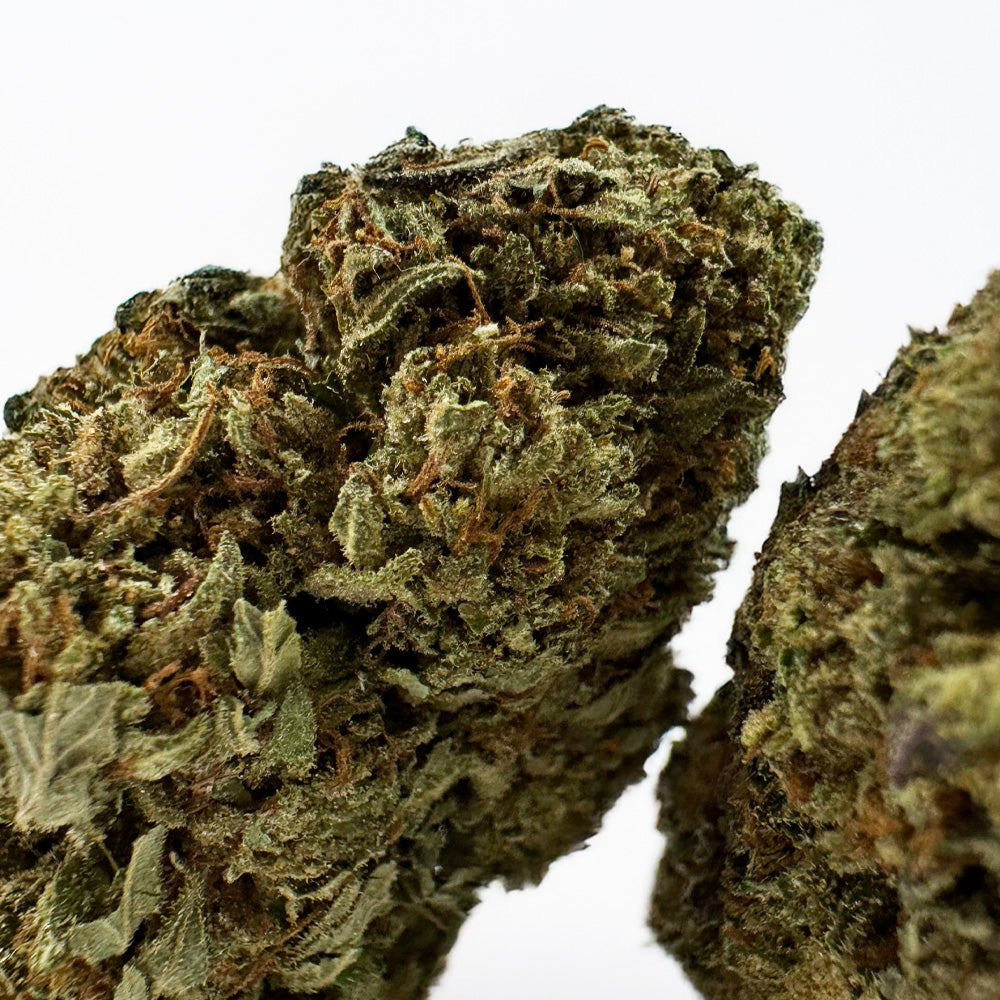 Critical – Hybrid USA