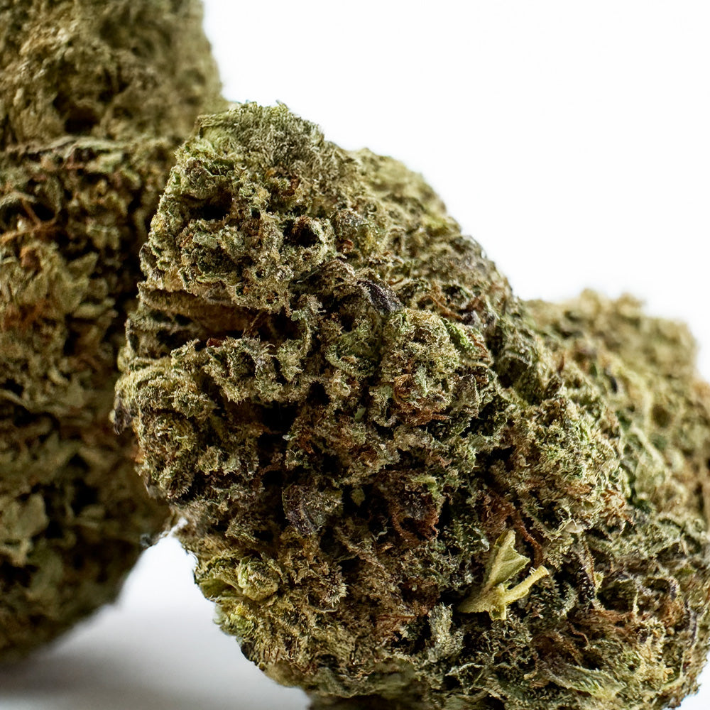 Critical – Hybrid USA