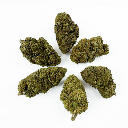 Critical – Hybrid USA