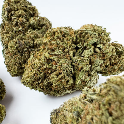 Critical – Hybrid USA