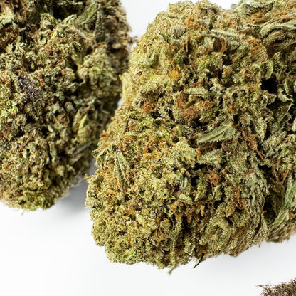 Critical – Hybrid USA