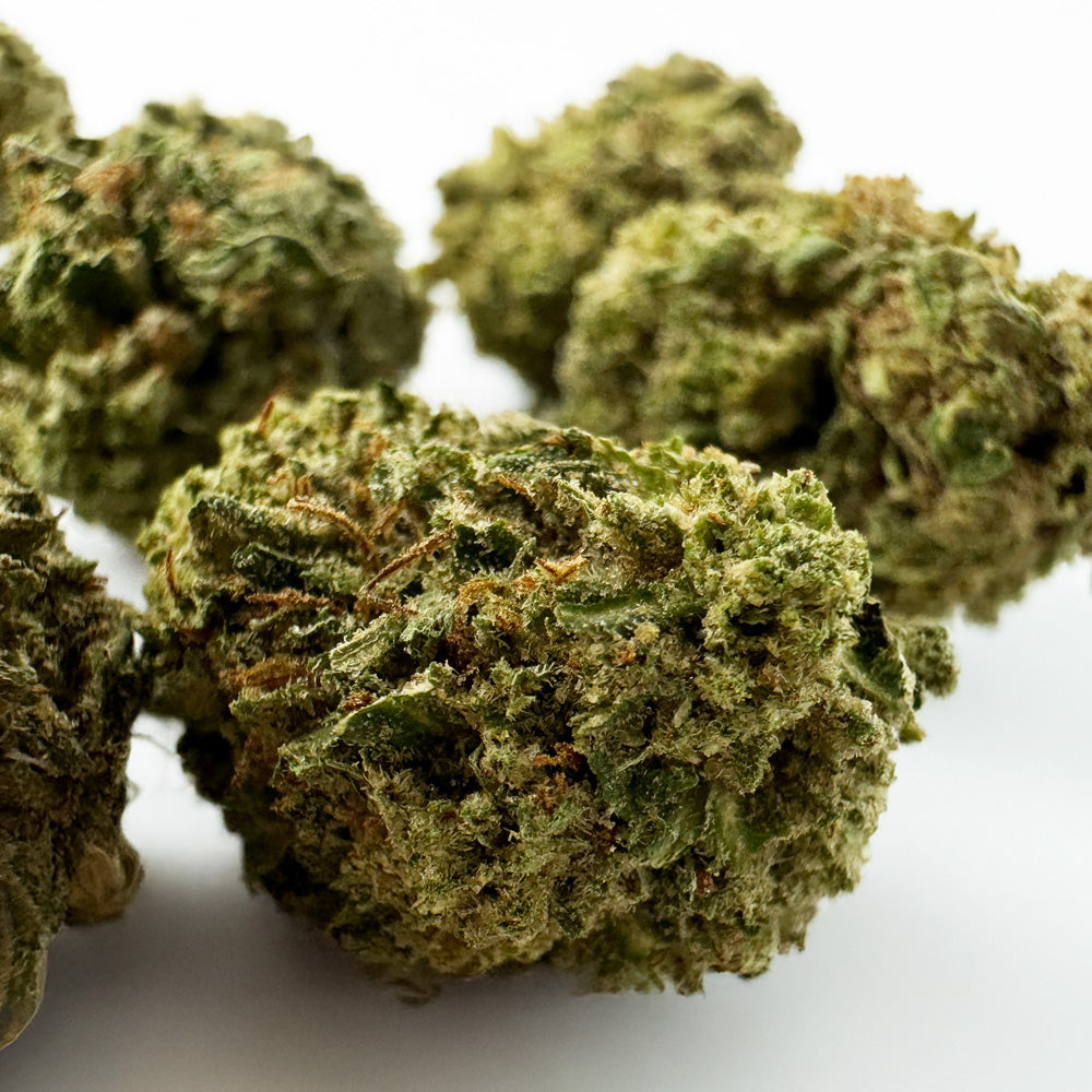 Small Buds Critical - Híbrido