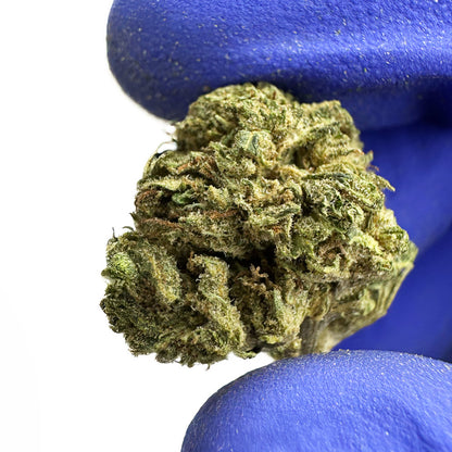 Small Buds Critical – Hybrid