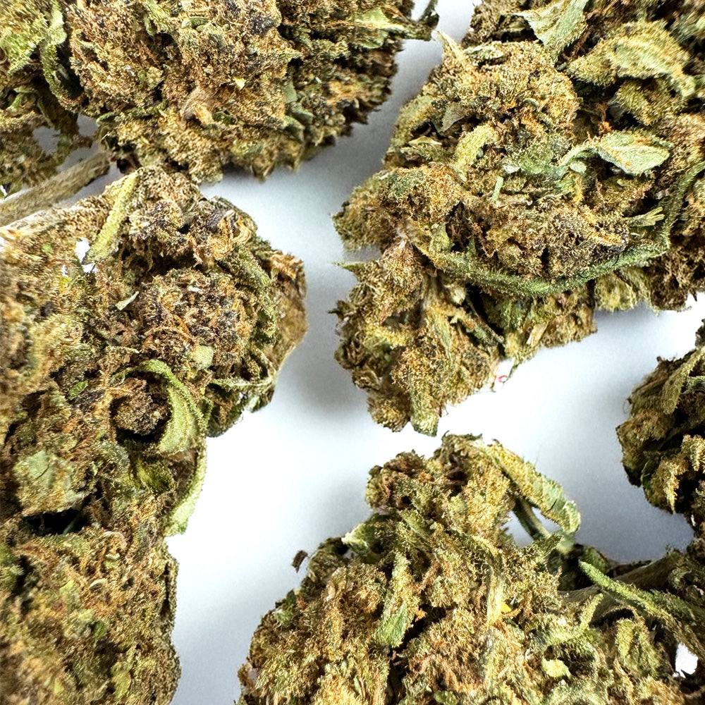 Diamond Grappe - Greenhouse