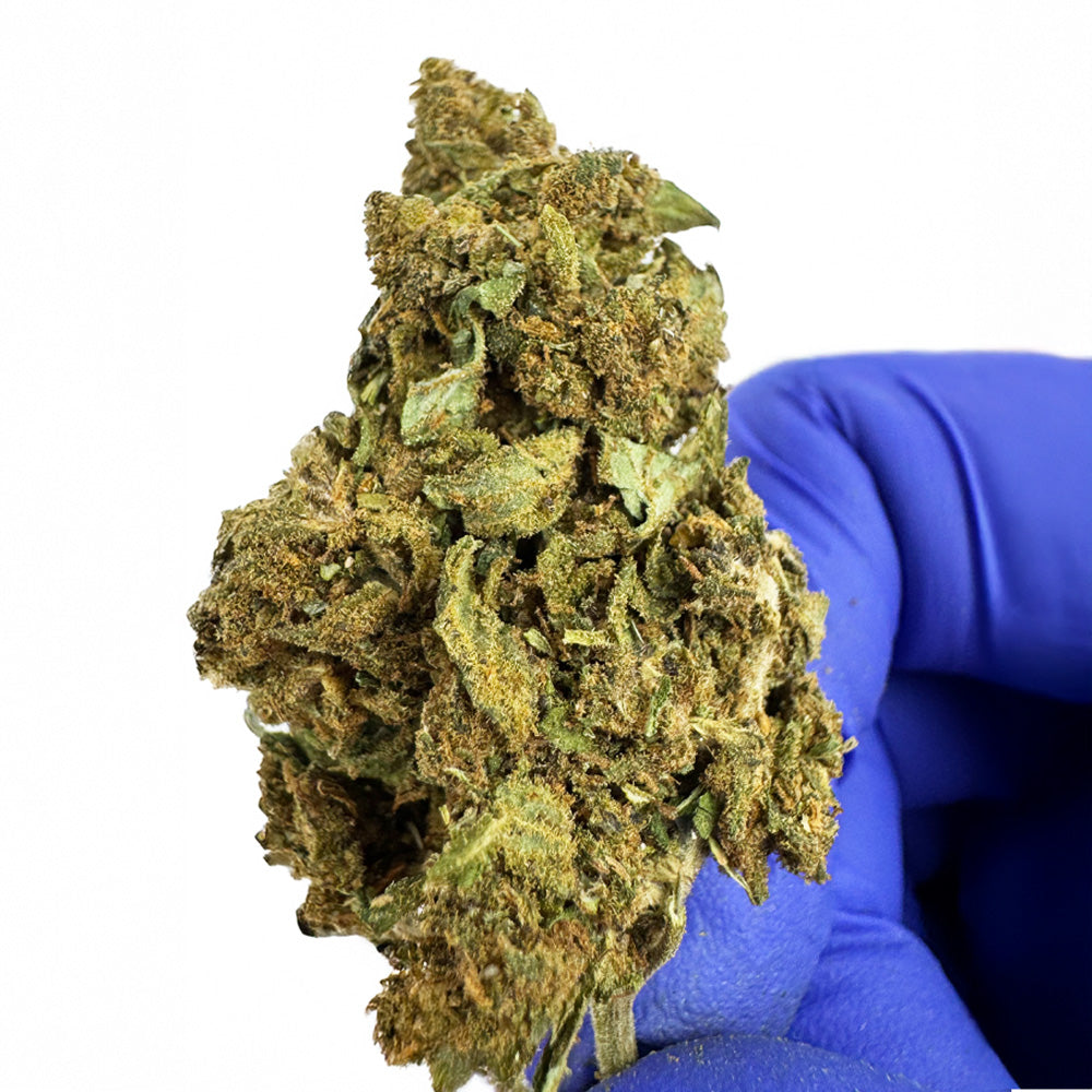 Diamond Grappe - Greenhouse