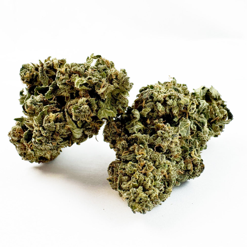 Tropical Haze - Glasshouse — foto 1