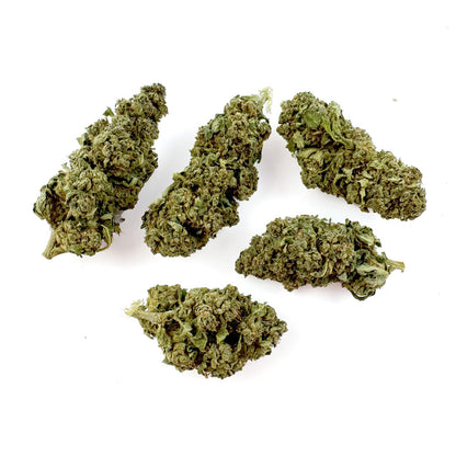 Tropical Haze - Glasshouse — foto 3
