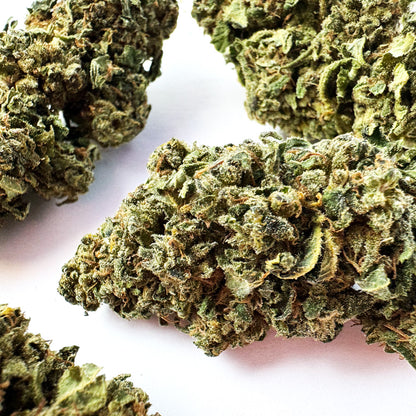 Tropical Haze - Glasshouse — foto 4