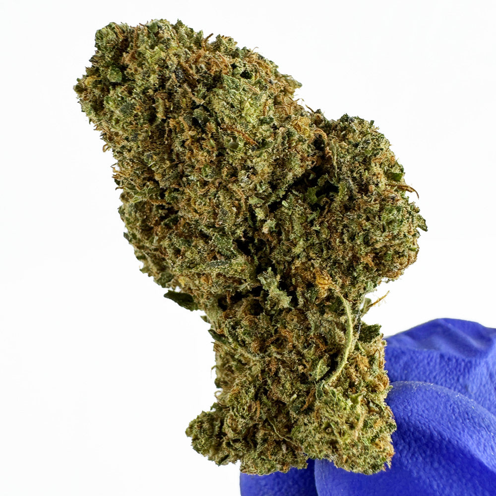 Strawpie – Greenhouse — zdjęcie 4