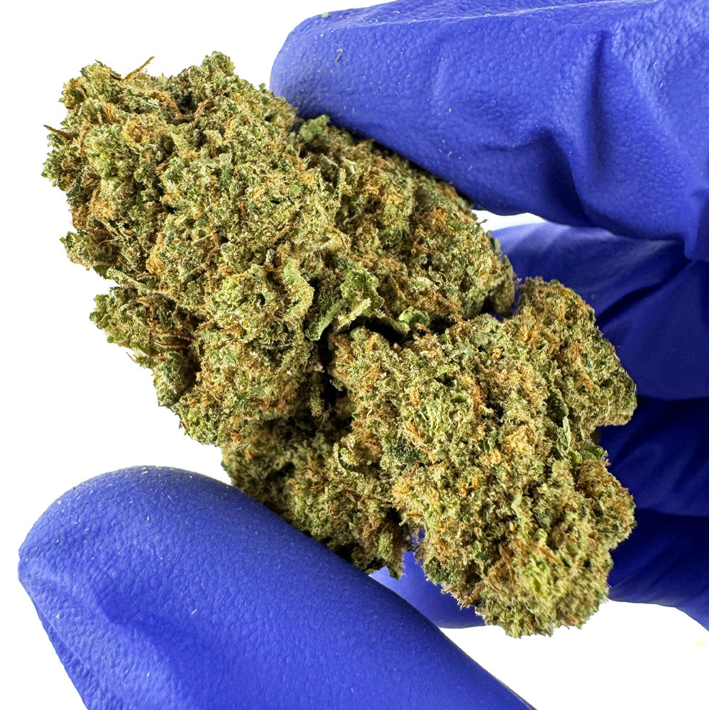 Strawpie – Greenhouse — zdjęcie 5