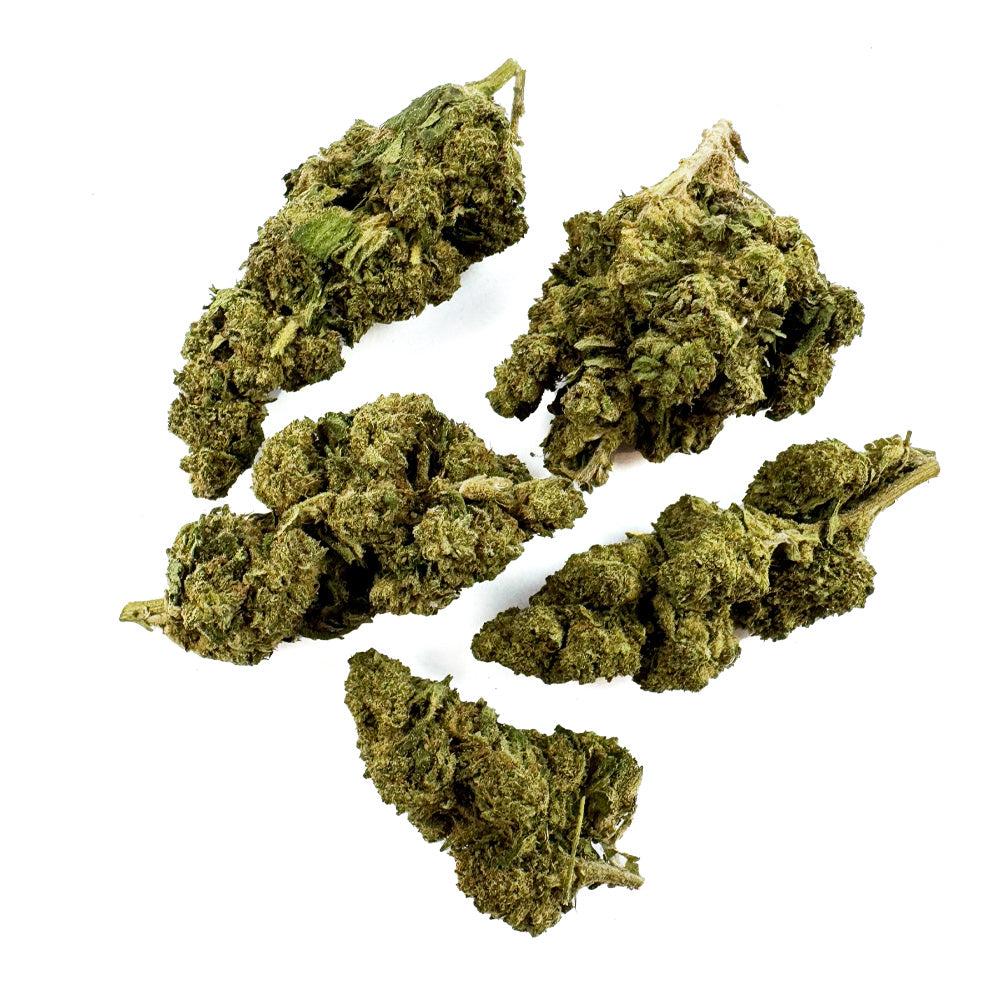 Super Skunk - Greenhouse — foto 2