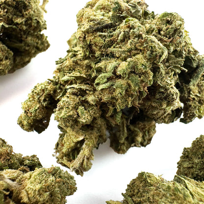 Super Skunk - Greenhouse — foto 3