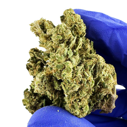 Super Skunk - Greenhouse — foto 5