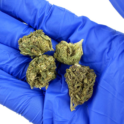 Malé palice Lemon Haze – Greenhouse — foto 3