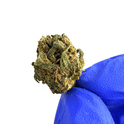 Malé palice Lemon Haze – Greenhouse — foto 4