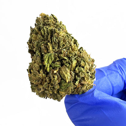 Amnesia Core Cut – Hybrid fra USA — billede 6