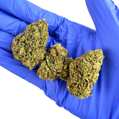 Amnesia Core Cut – Hybrid fra USA — billede 7