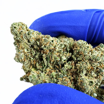 Lemon Haze HT - Interior — foto 6