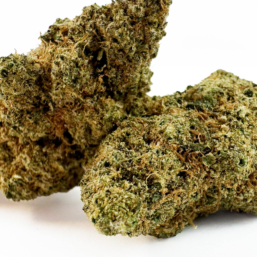 White Runtz - Cultivo em interior — foto 2