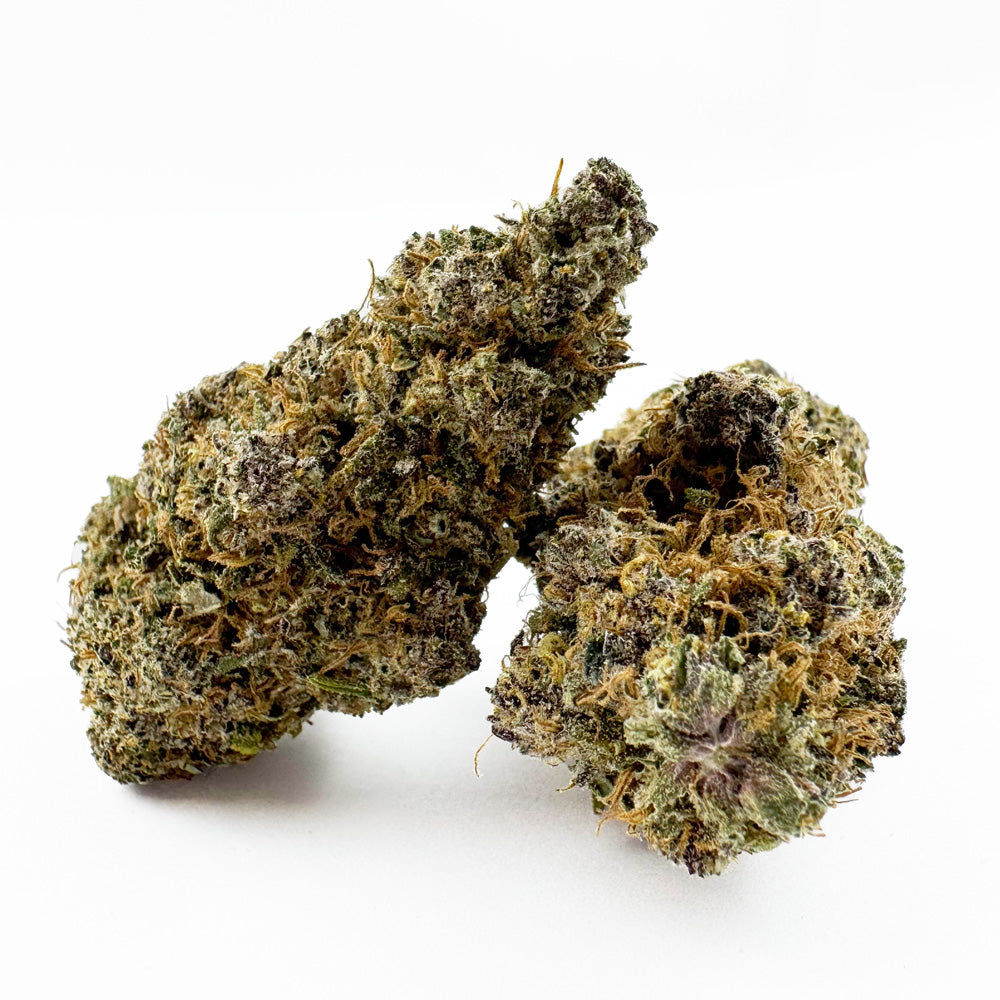 Glazzy Grape - Indoor Elite USA — photo 1