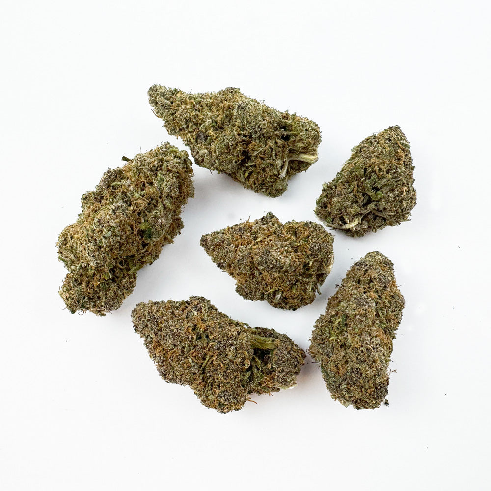 Glazzy Grape - Indoor Elite USA — photo 3