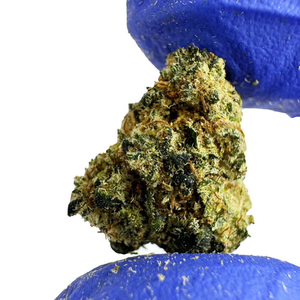Malé palice Fruity Pebbles – Indoor Elite USA — foto 4