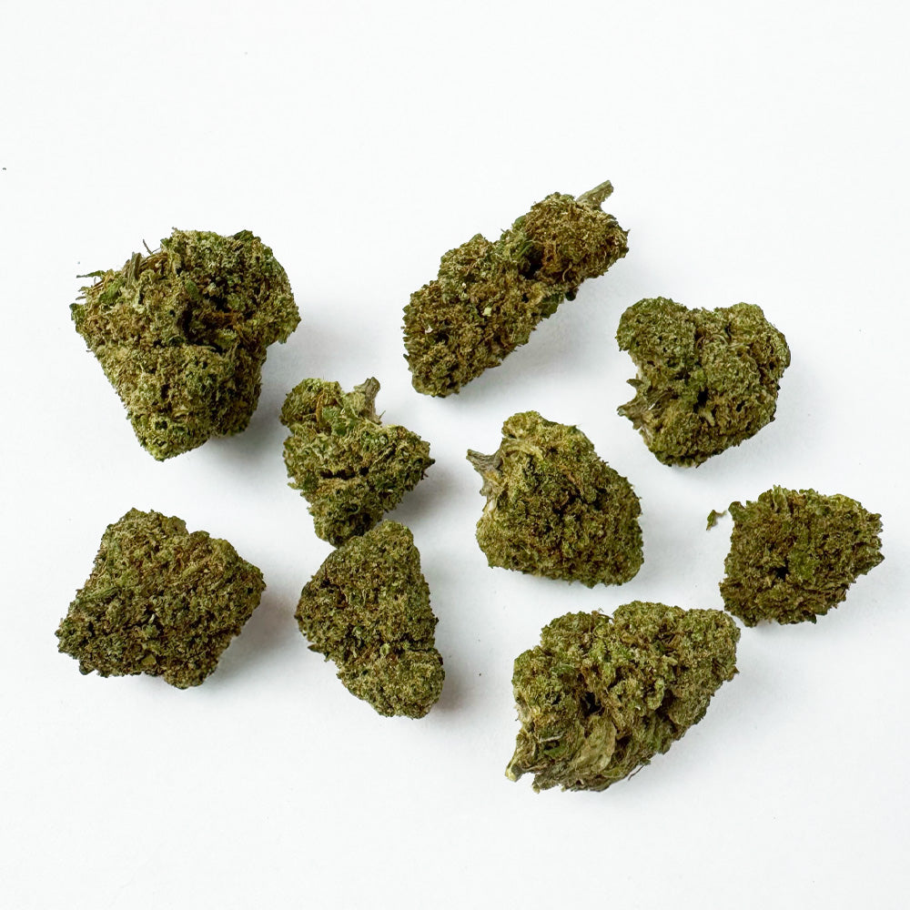 Small buds Fanta - Hybride