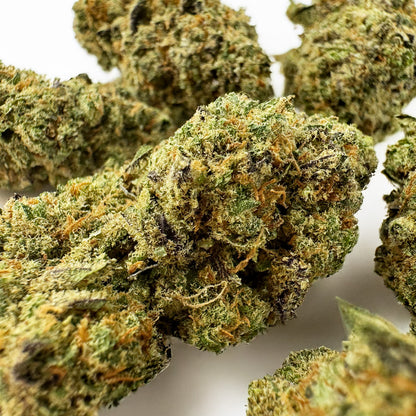 Fruity Pebbles - Indoor Elite USA — photo 3