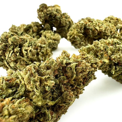 Gasolina CBD - Indoor