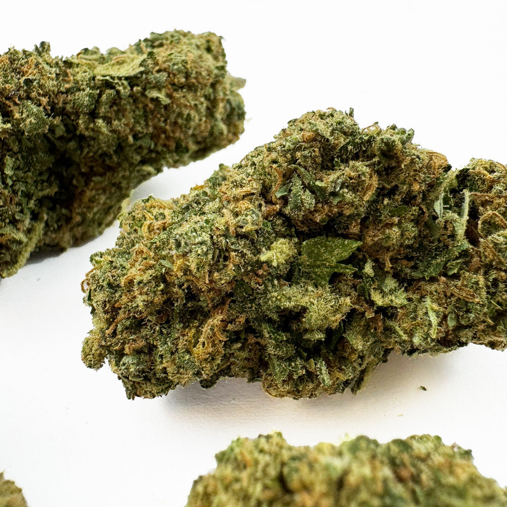 Gold Bar Kush - Binnen — foto 3