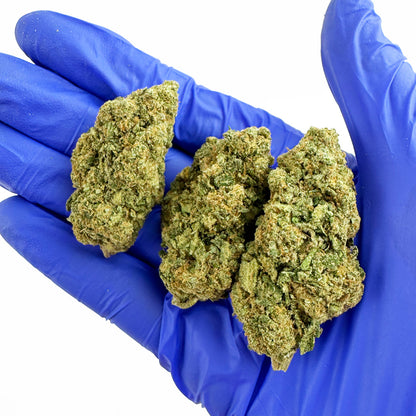 Gold Bar Kush - Binnen — foto 5
