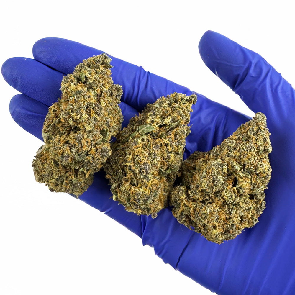 Pomelo - Híbrido de EE. UU.