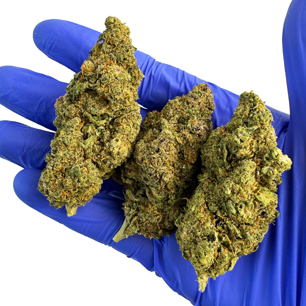 Guana Ice — CBD květina, makro 5