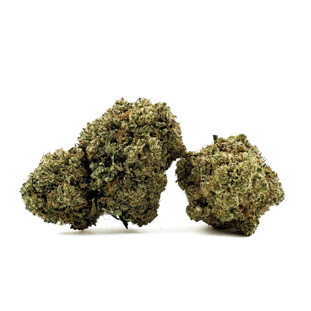 Guava Kush CBD – Indoor