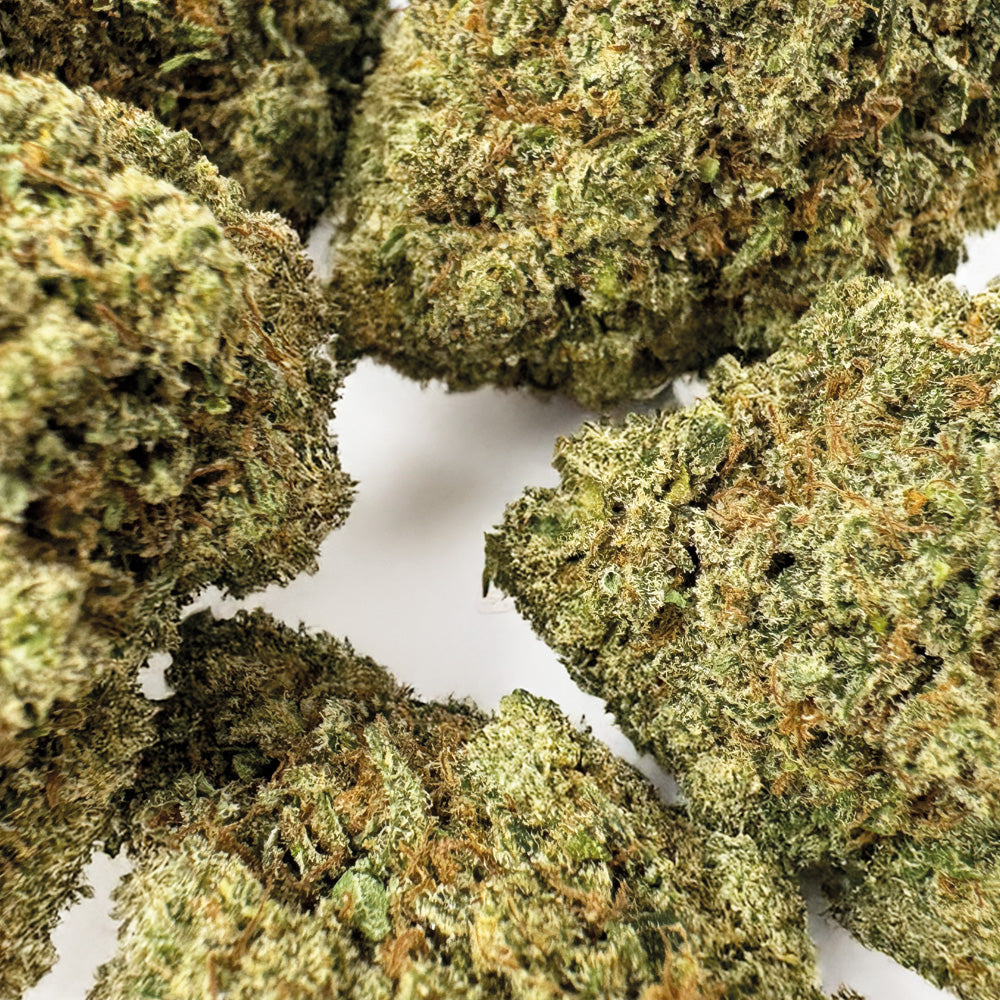 Guava Kush CBD – Indoor