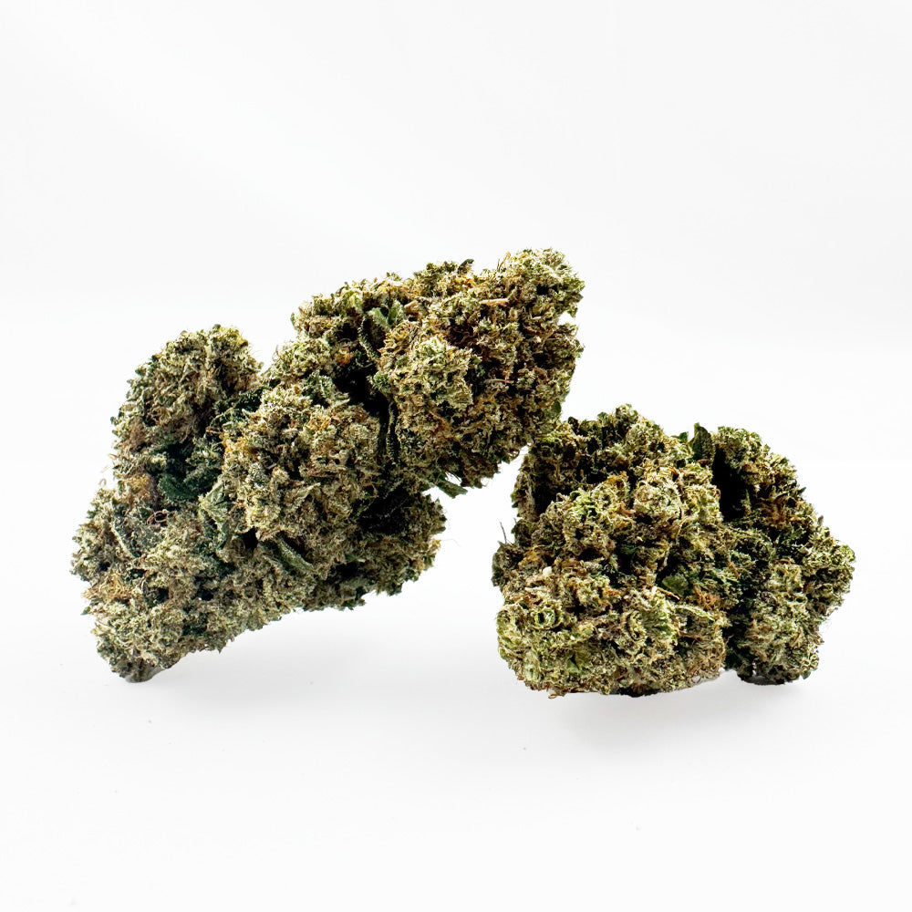 Guava Kush CBD – pěstování v interiéru — foto 1