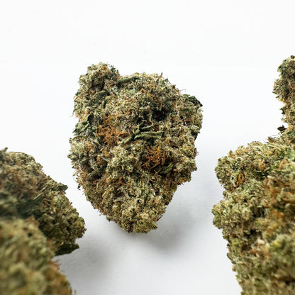 Guava Kush CBD – pěstování v interiéru — foto 3