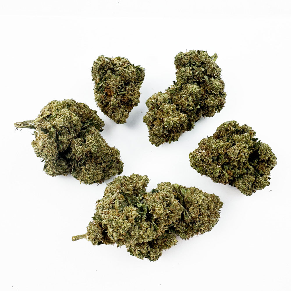Guava Kush CBD – pěstování v interiéru — foto 4