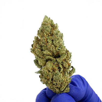 Gushers CBD - Indoor