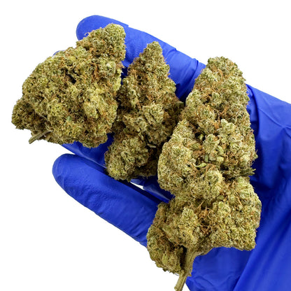 Gushers CBD - Binnen — foto 6