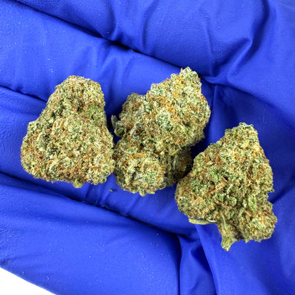 Small buds HQ Limo - Indoor