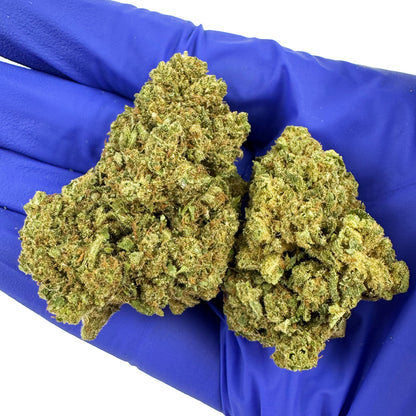 Harley Queen - Glasshouse