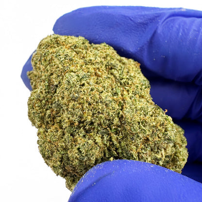 Ice Cream Cake CBD - Cali Hydroponics